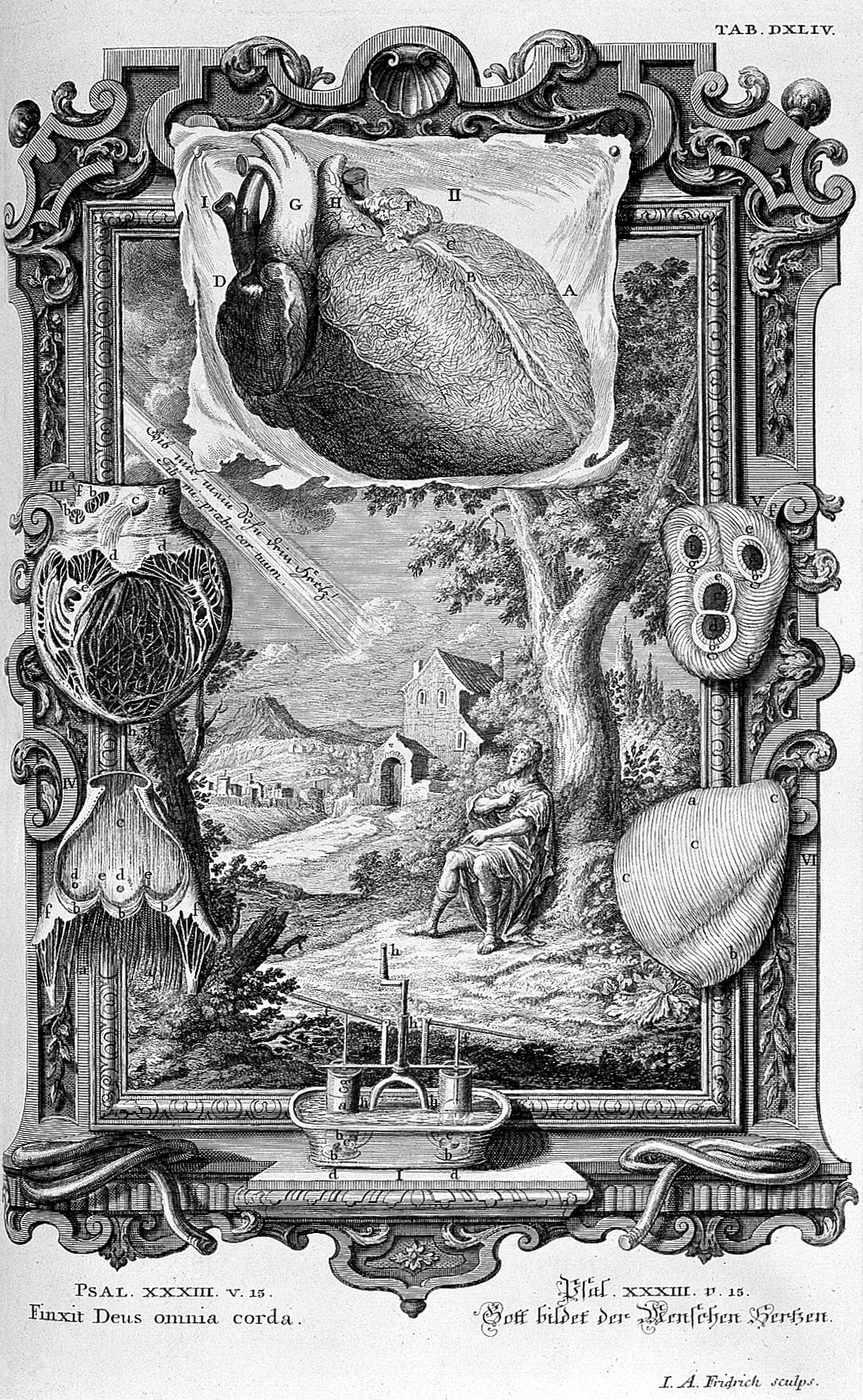 Baroque engraved plate: a heart drawn as a pumping machine, framed by ornament.
